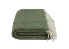 swamp green